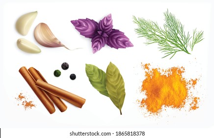 Spices and herbs realistic set of curry powder garlic cloves black pepper peas cinnamon rolls bay and basil leaves isolated vector illustration