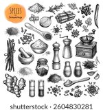 Spices, herbs and seasonings. Mills and grinders. Big collection of ink sketches isolated on white background. Hand drawn vector illustration. Retro style.
