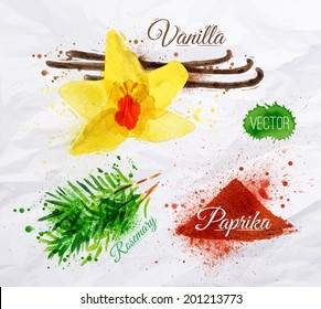 Spices herbs set drawn watercolor blots and stains with a spray vanilla, rosemary, paprika