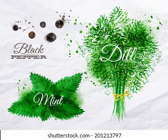 Spices herbs set drawn watercolor blots and stains with a spray black pepper, mint, dill