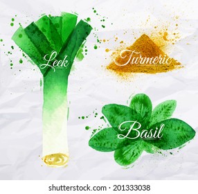 Spices herbs set drawn watercolor blots and stains with a spray leeks, basil, turmeric