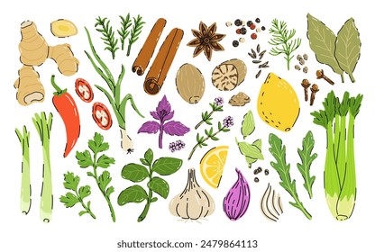 Spices and herbs set. Flat cartoon seasonings for spicy food at the kitchen. Cute culinary design elements for kitchen, menu, recipes. Pepper, anise, ginger, basil, cumin and others.