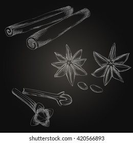 Spices and herbs set. Hand drawing elements on the dark background.