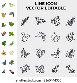 Spices and herbs set icon symbol template for graphic and web design collection logo vector illustration