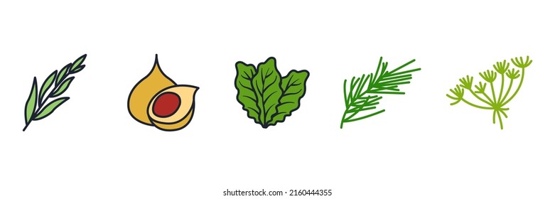 Spices and herbs set icon symbol template for graphic and web design collection logo vector illustration