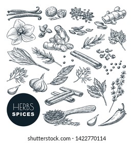 Spices and herbs set. Vector hand drawn sketch illustration, isolated on white background. Cinnamon, pepper, anise, clove, ginger, cooking icons and design elements.