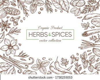 Spices and herbs sketch background. Pepper, basil, cinnamon, vanilla, rosemary, cardamom. Vector background for design,advertising, packaging, menu.