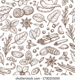 Spices and herbs sketch pattern. Pepper, basil, cinnamon, vanilla, rosemary, cardamom. Vector background for design, textile, packaging, menu.