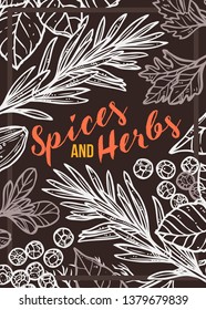 Spices and herbs vector hand drawn poster. Design template on chalkboard. Sketch background