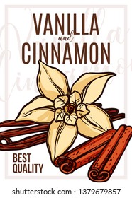 Spices and herbs vector hand drawn poster. Design template with vanilla and cannamon. Sketch background