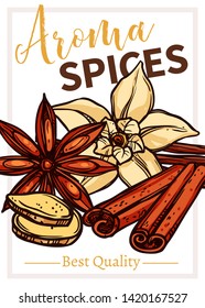 Spices and herbs vector hand drawn poster. Design color template. Sketch background with vanilla flower and sticks, cinnamon, slices of ginger and star anise