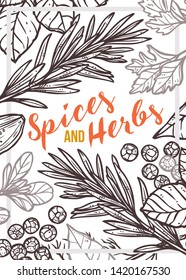 Spices and herbs vector hand drawn poster. Design template in black and white or monochrome style. Sketch background with basil, parsley, rosemary, mint