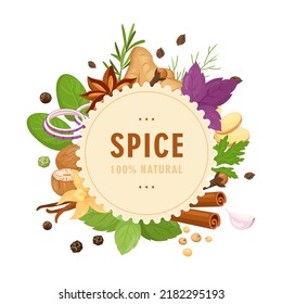 Spices and herbs. Vector illustration of kitchen herbs with vanilla, anise, ginger, cinnamon, curry, basil, garlic, rosemary. Popular indian spices for menu, pattern, background, banner, web design