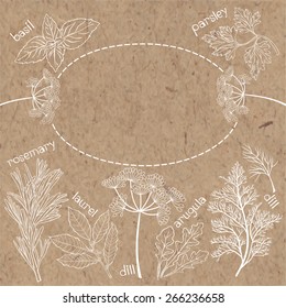 Spices and herbs. Vector illustration with place for text.