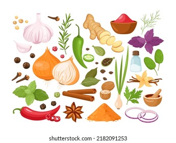 Spices and herbs. Vector set of kitchen herbs with vanilla,  anise, ginger, cinnamon, curry, basil, garlic, bay leaves, chili pepper, rosemary. Popular indian spices for menu, pattern, background