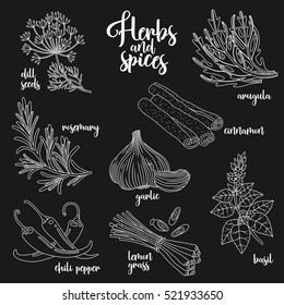 Spices and herbs vector set to prepare delicious healthy food. Contour botanical illustration on dark background with dill seed, rosemary, chili pepper, arugula, garlic, cinnamon, basil, lemongrass.