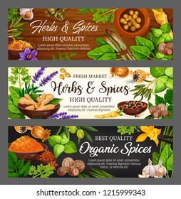 Spices, herbs and vegetable greens, food seasonings, condiments. Vector parsley, mint and garlic, pepper and basil, vanilla flower and ginger, oregano, saffron and turmeric, cardamom and nutmeg