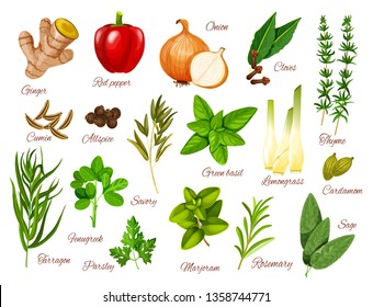 Spices, herbs and vegetable seasonings vector icons of food condiments. Red pepper, green basil and rosemary, ginger, onion and thyme, parsley, marjoram and cardamom, cumin, tarragon and cloves
