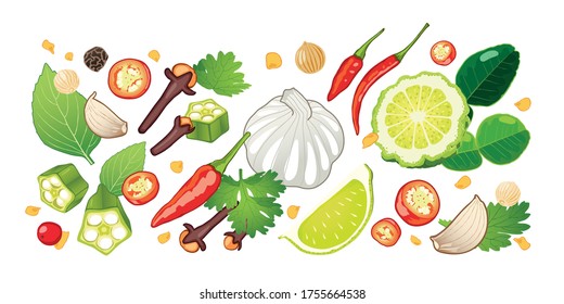 Spices and herbs with vegetables isolated on white background.