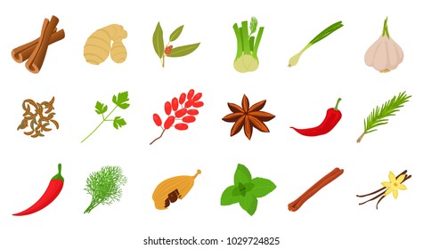 Spices icon set. Cartoon set of spices vector icons for web design isolated on white background