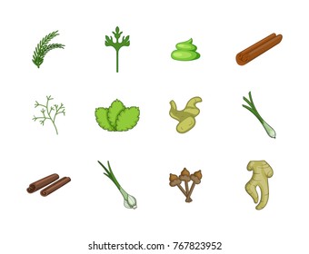 Spices icon set. Cartoon set of spices vector icons for your web design isolated on white background