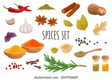 Spices icon set in realistic 3d design. Bundle of chilli, cinnamon, garlic, ginger, rosemary, nutmeg, cloves, star anise and other. Cooking collection. Vector illustration isolated on white background