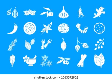 Spices icon set. Simple set of spices vector icons for web design isolated on blue background