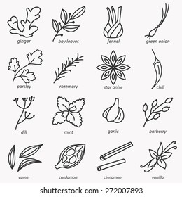 Spices icons