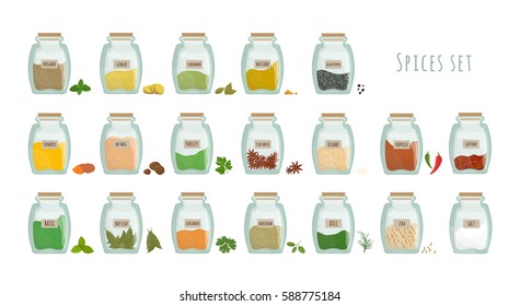 spices in jars, big set. collection flat vector illustration.