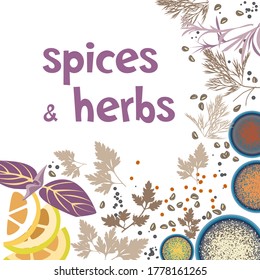 Spices and kitchen herbs, vector label template design.