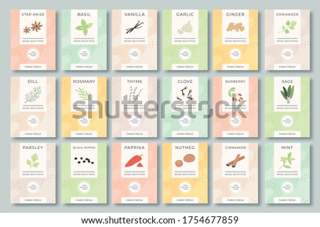 Spices labels. Different aromatic herbs and spices color packaging for culinary, food preparing. Garlic, pepper and basil, spinach and mint organic product for selling vector set. Bags with herbs.