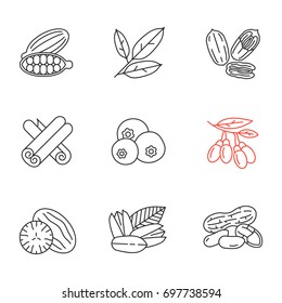 Spices linear icons set. Thin line contour symbols. Cardamom, bay leaves, pecan nut, cinnamon, allspice, goji berries, nutmeg, pistachio, peanut. Isolated vector outline illustrations