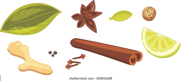 Spices for masala tea. Vector