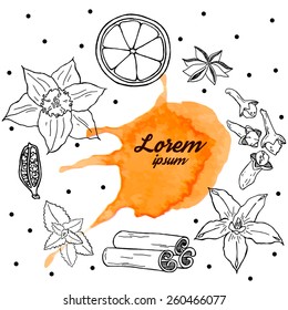 Spices from mulled wine. Hand drawn spices on the white background. Vector frame.