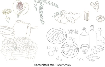 The Spices of Nusantara Vector Line Art