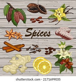 Spices on a wooden background.Colored vector illustration with a set of spices on a wooden background.