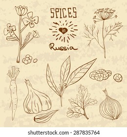 Spices in Russia. A collection of distinctive herbs and spices for the Russians.