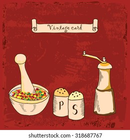 Spices, salt and pepper illustration 