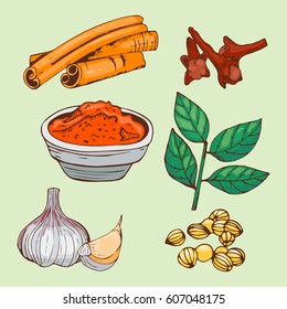 Spices seasoning hand drawn style food herbs elements and seeds ingredient cuisine flower buds leaves food plants healthy organic vegetable vector illustration.
