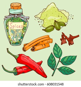 Spices seasoning hand drawn style food herbs elements and seeds ingredient cuisine flower buds leaves food plants healthy organic vegetable vector illustration.