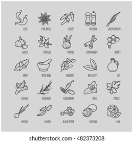 Spices and seasonings icons