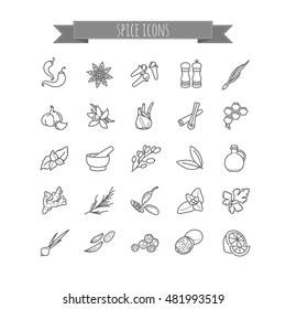Spices and seasonings icons set