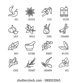 Spices and seasonings outline web icons for your design