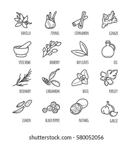 Spices and seasonings thin line web icons for your design