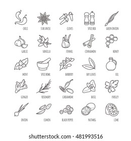 Spices and seasonings vector icons