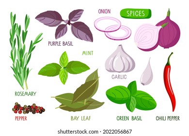 Spices set. Collection of fresh herbs, vegetables and root with inscriptions isolated on white. Spices for cooking and flavor. Flat vector Ingredients for fragrant dishes. Culinary spices for menu.