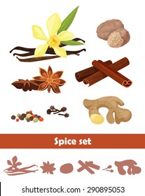 spices set of decorative elements of vanilla, nutmeg, cloves, peppercorns, cinnamon sticks, star anise and ginger isolated vector illustration