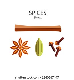 Spices set flat style icons. Vector illustration