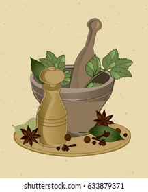 Spices Set Illustration Isolated