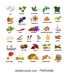 Spices set illustrations. Dill and basil, nutmeg and cinnamon.